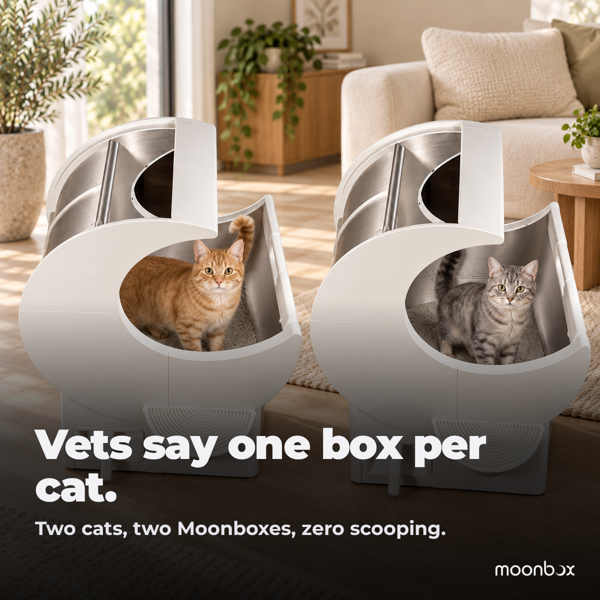 Moonbox Stainless 2-Pack: vets say one box per cat